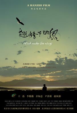 翅膀下的风(1080)