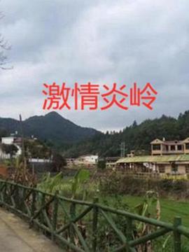 激情炎岭（蓝光）