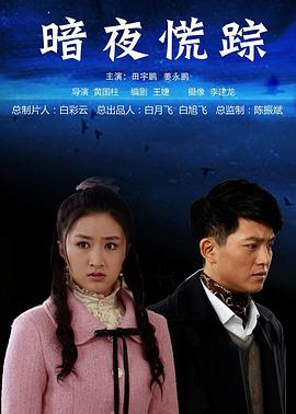 暗夜慌踪（蓝光）