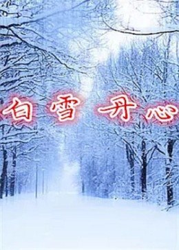 白雪丹心(蓝光)