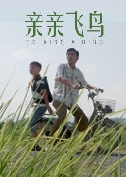亲亲飞鸟(蓝光)