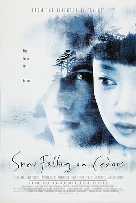 落在香杉树的雪花(蓝光)