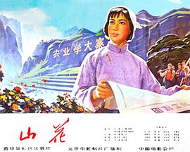 山花(蓝光)