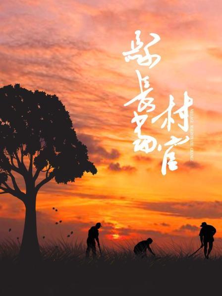 县长当村官（蓝光）