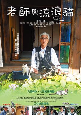 老师与流浪猫(蓝光)
