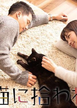 被流浪猫捡到的男人(蓝光)