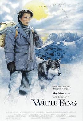 雪地黄金犬(1080)