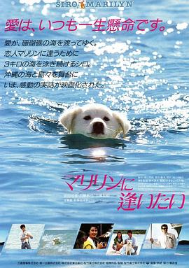想见玛丽琳（1080）