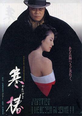 寒椿(蓝光)