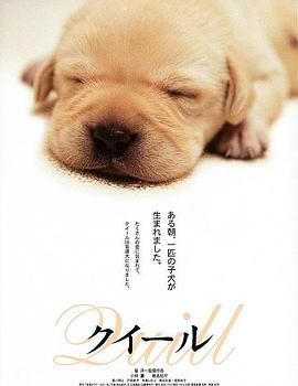 导盲犬小q（蓝光）