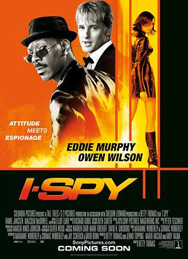 我是间谍(1080)