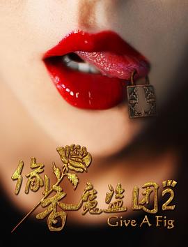 偷香魔盗团第二部(1080)