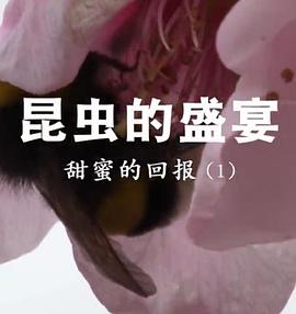 昆虫的盛宴粤语版(蓝光)