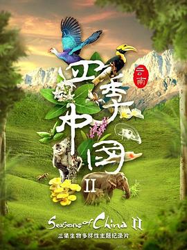 四季中国第二季粤语版(4K)