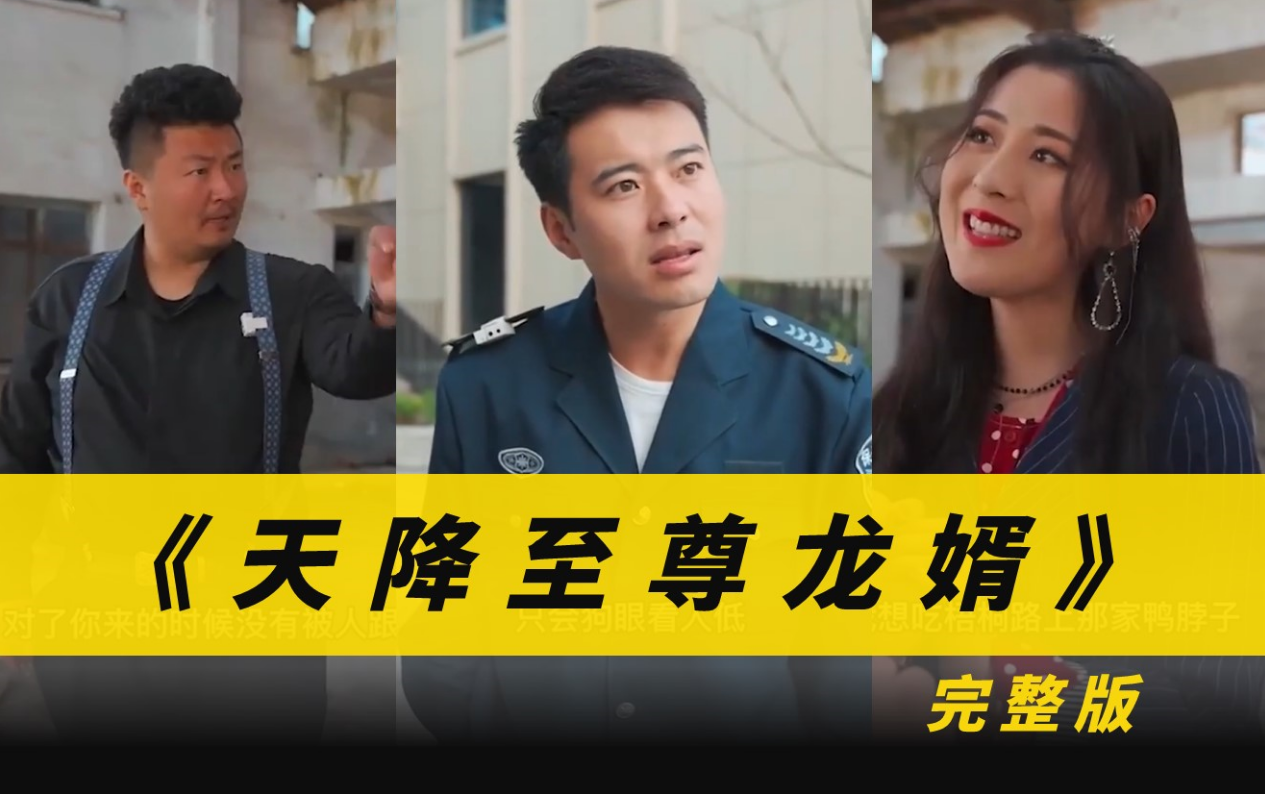 天降至尊龙婿(蓝光)