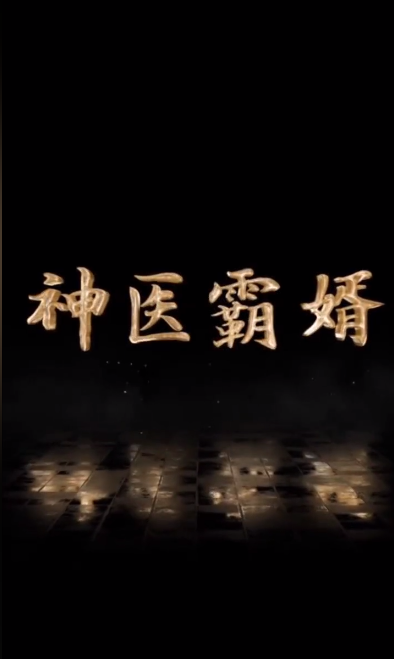 神医霸婿(蓝光)