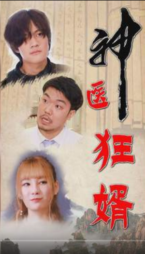 神医狂婿（蓝光）