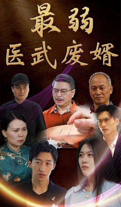 最弱医武废婿（1080）