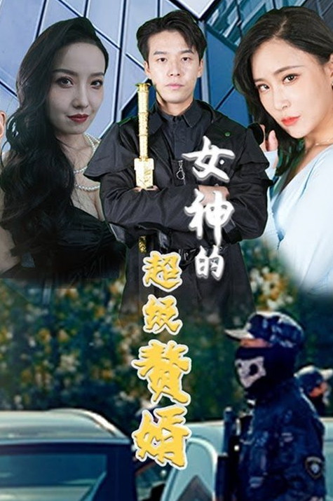 女神的超级赘婿（蓝光）