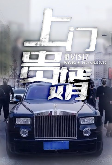 上门贵婿(蓝光)