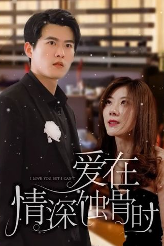 爱在情深蚀骨时(4K)