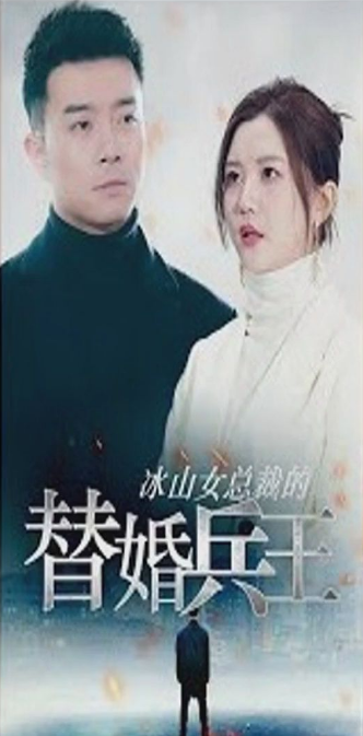 冰山女总裁的替婚兵王（蓝光）