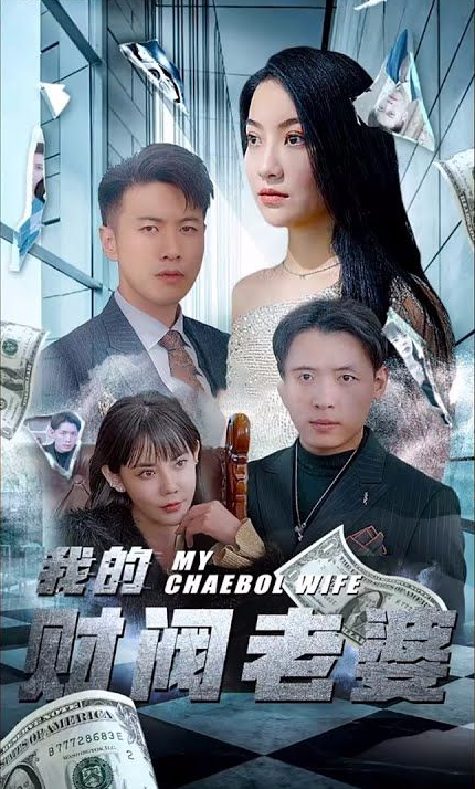 我的财阀老婆（1080）