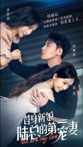 替身新娘陆总的第一宠妻(蓝光)