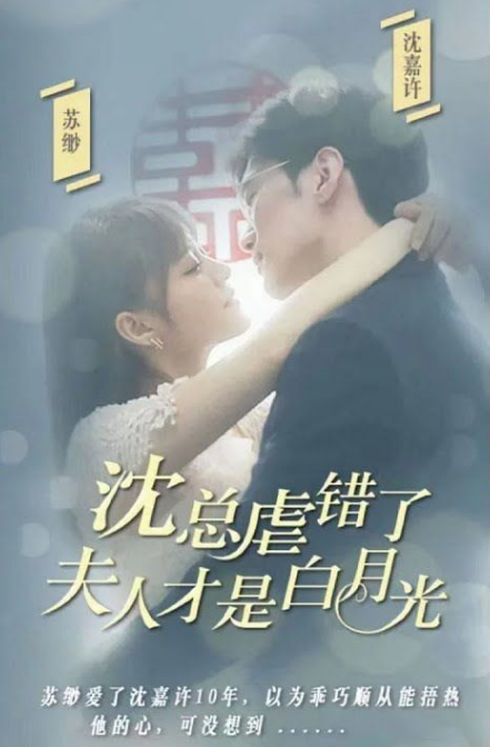 沈总虐错了夫人才是白月光(蓝光)