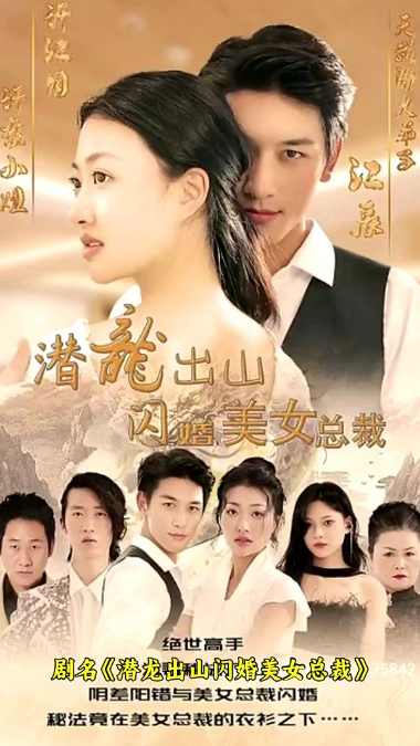 潜龙出山闪婚美女总裁(蓝光)