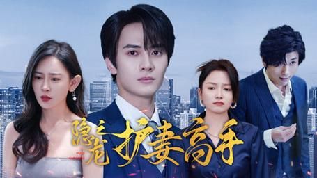 隐龙之护妻高手(蓝光)