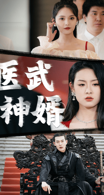医武神婿（蓝光）