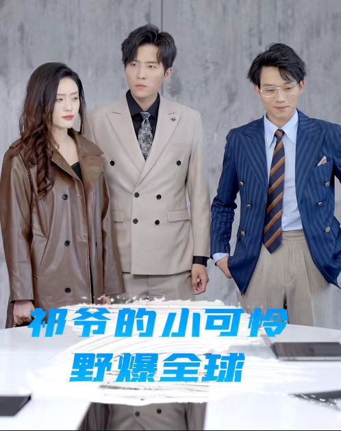 祁爷的小可怜野爆全球（蓝光）