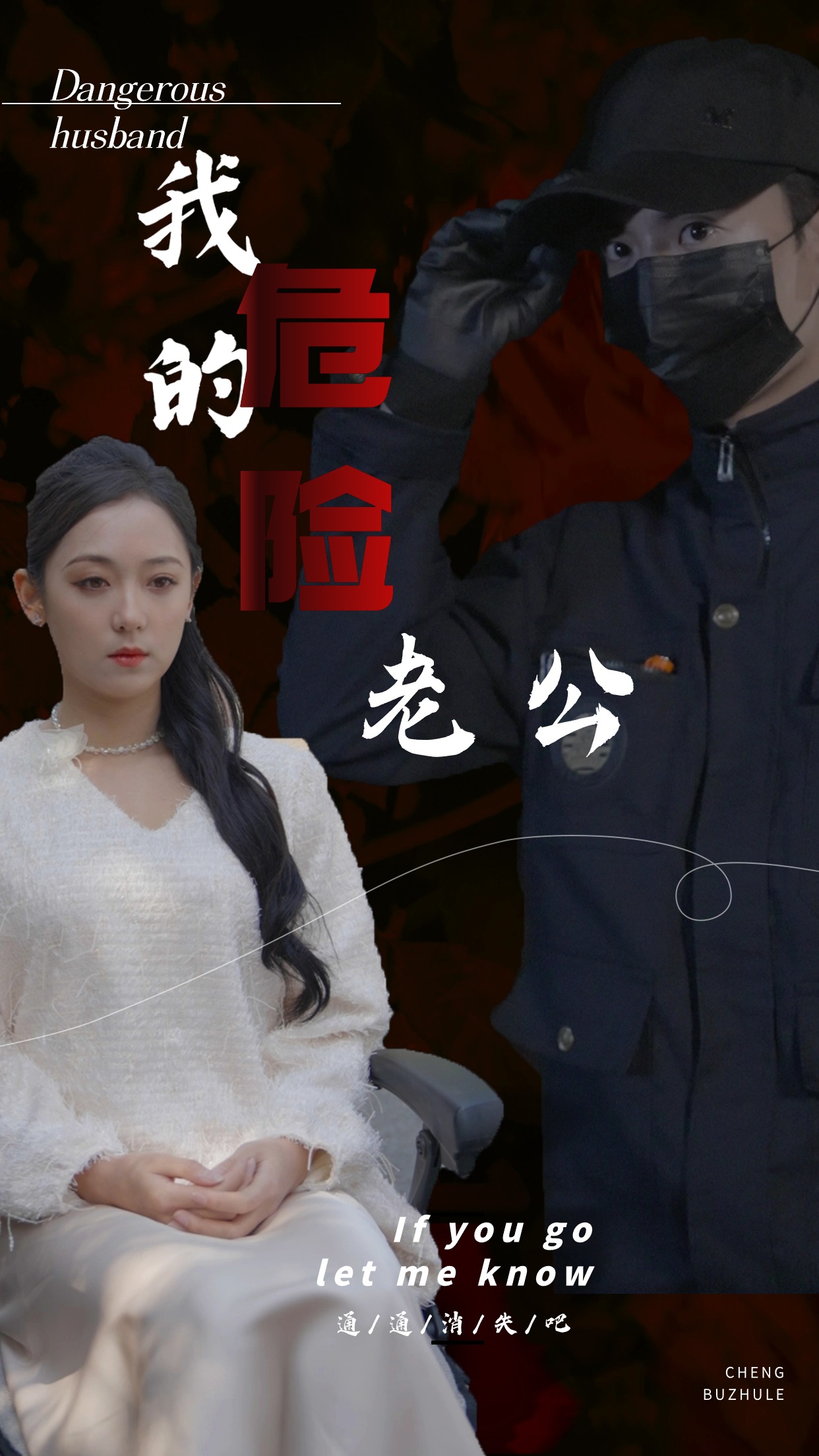 我的危险老公（蓝光）