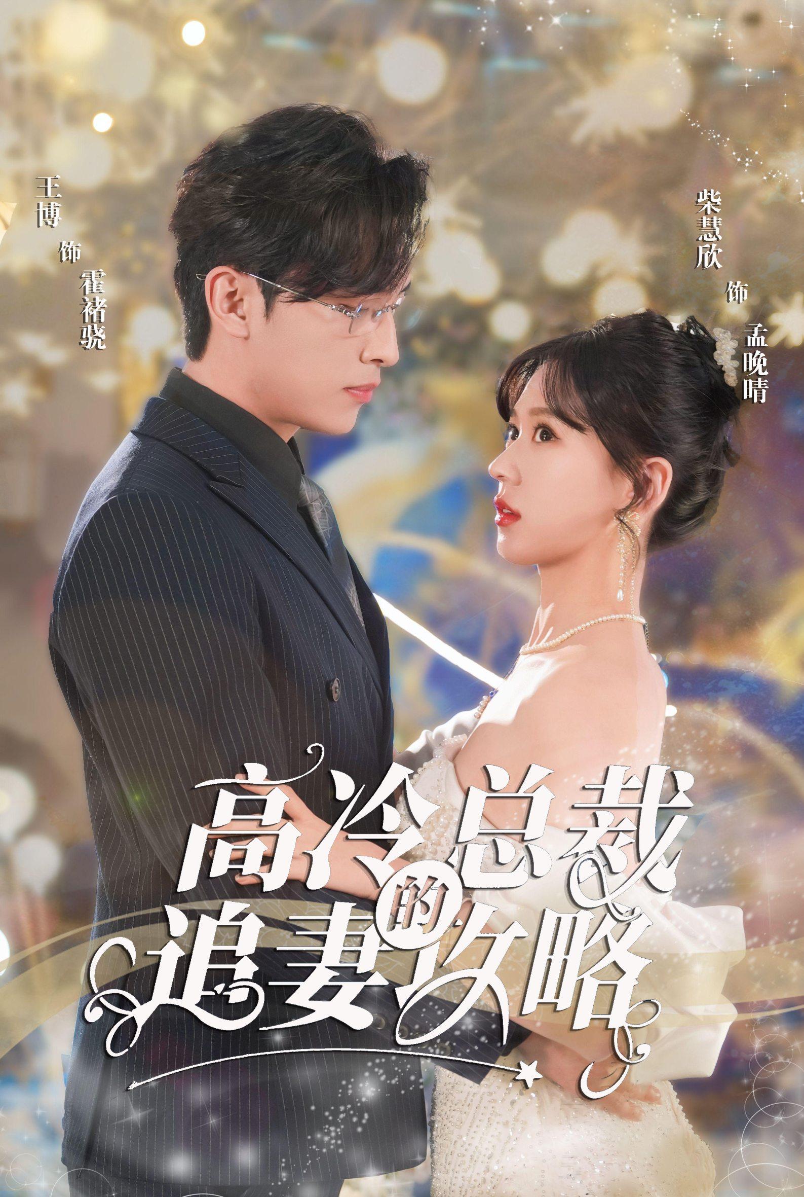 高冷总裁的追妻攻略海报