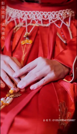 傅总的天降太子妃（蓝光）