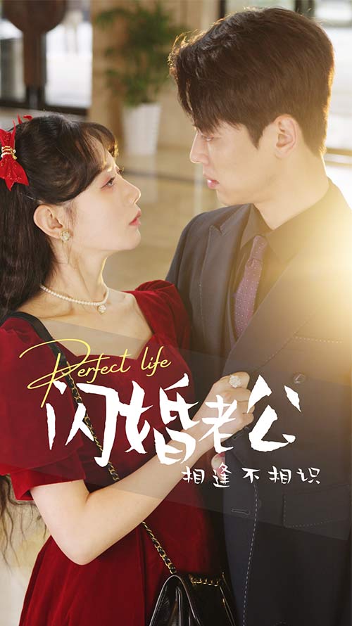 闪婚老公相逢不相识(蓝光)