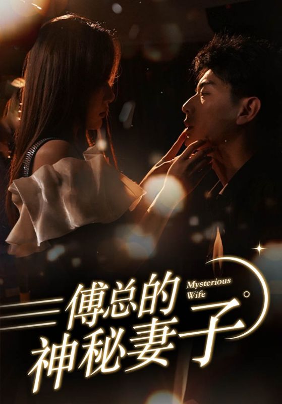 傅总的神秘妻子（1080）