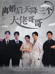 离婚后天降三个大佬哥哥(蓝光)