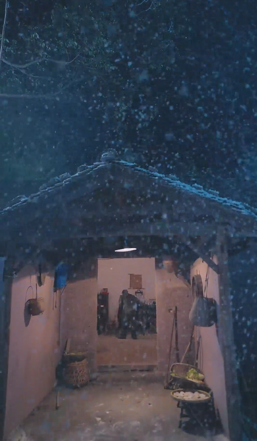春雪落无声（蓝光）