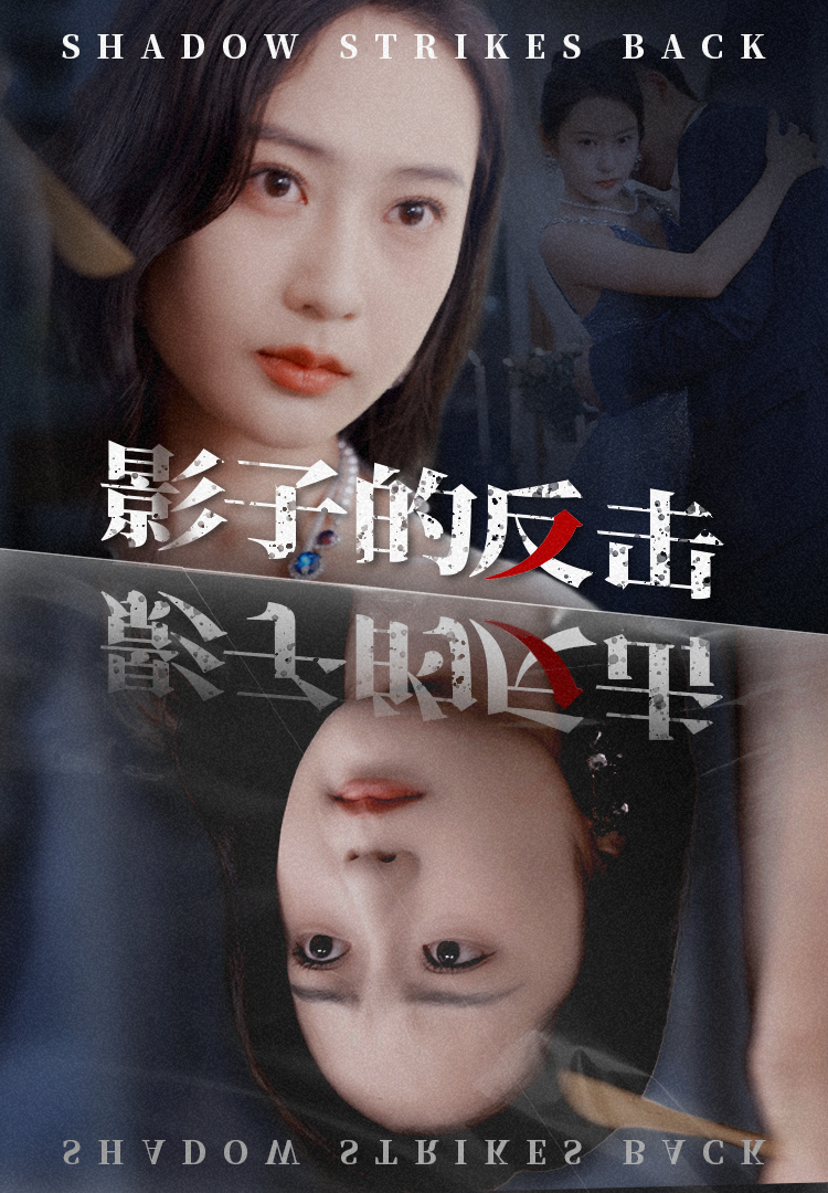 影子的反击(1080)