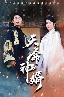 天命神婿（4K）