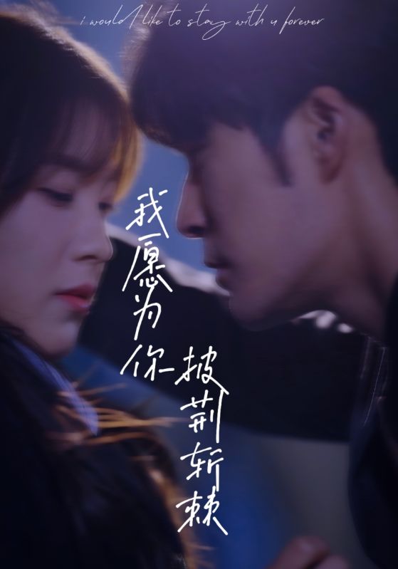 我愿为你披荆斩棘(1080)