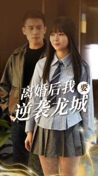 离婚后我要逆袭龙城（蓝光）