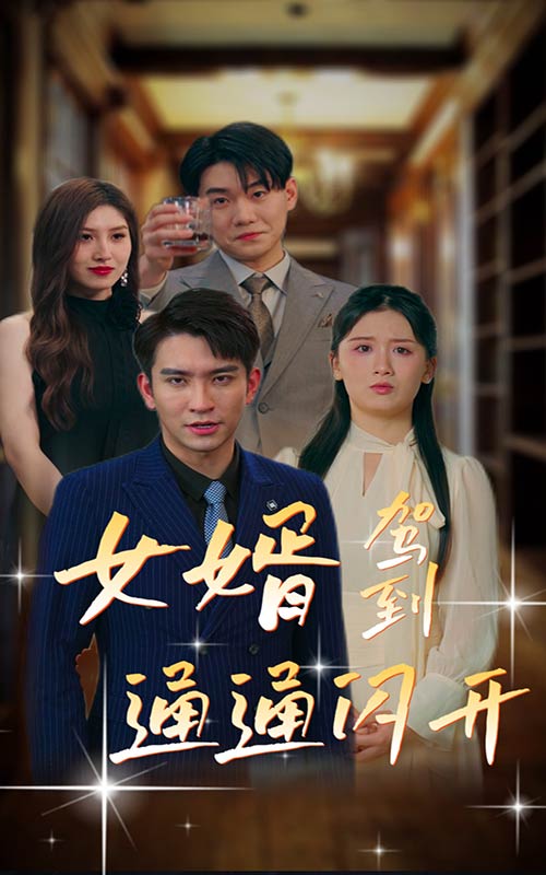 女婿驾到通通闪开（蓝光）