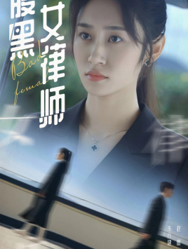 腹黑女律师（蓝光）