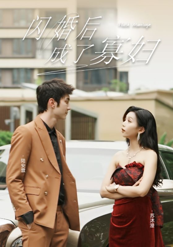 闪婚后成了寡妇（1080）