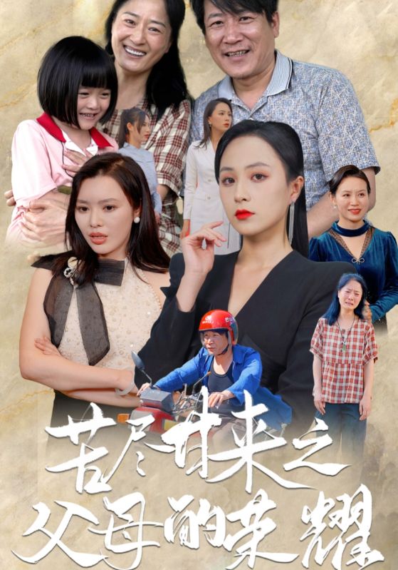 苦尽甘来之父母的荣耀（蓝光）