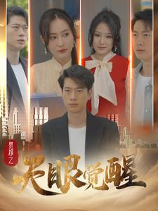 赘婿之天眼觉醒（1080）