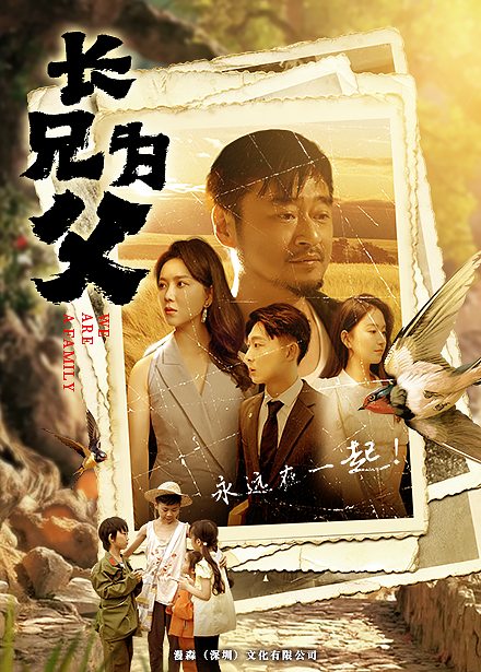 长兄为父（蓝光）